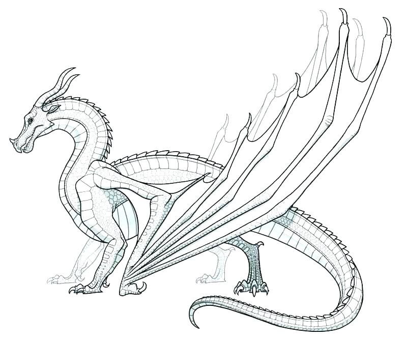 Real Dragon Coloring Pages Real Dragon Coloring Pages Real Dragon 800x668 Real Dragon Coloring Pages Real Dragon Coloring Pages Real Dragon