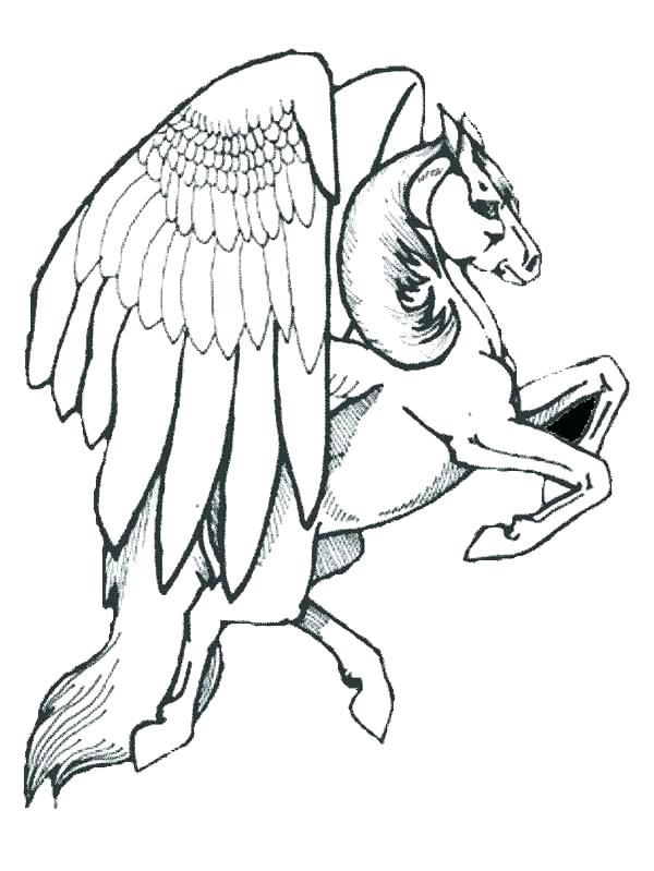 600x799 Realistic Coloring Pages Coloring Pages Animals Realistic