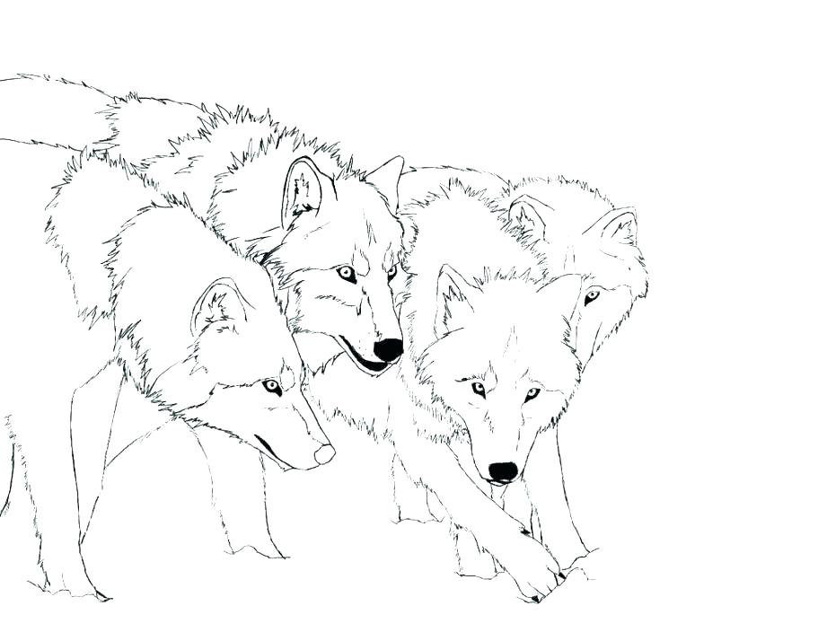 921x704 Cute Wolf Coloring Pages Free Printable Wolf Coloring Pages