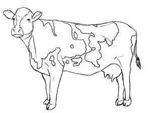 Coloring Pages Cow 300x224 Coloring Pages Cow