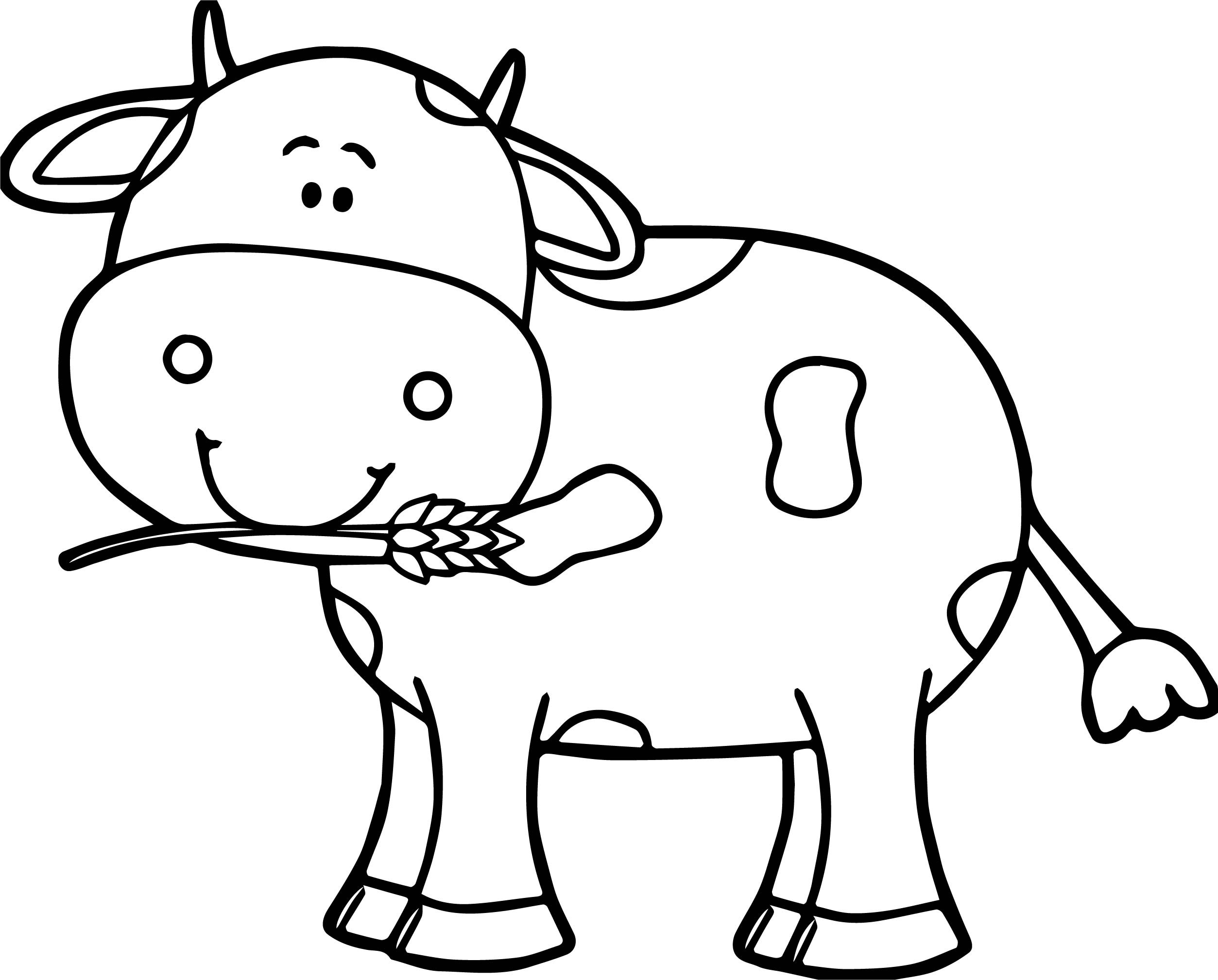 Cow Coloring Page 2507x2018 Cow Coloring Page
