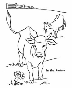 Cow Coloring Pages 236x288 Cow Coloring Pages