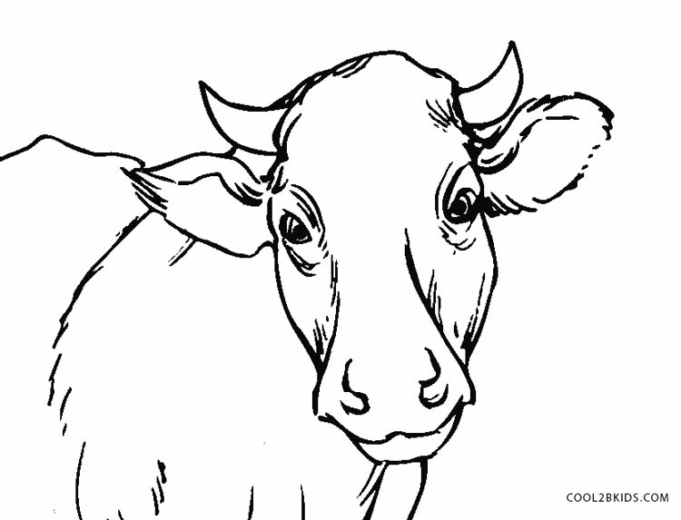 Free Printable Cow Coloring Pages For Kids Cool2bkids 750x573 Free Printable Cow Coloring Pages For Kids Cool2bkids