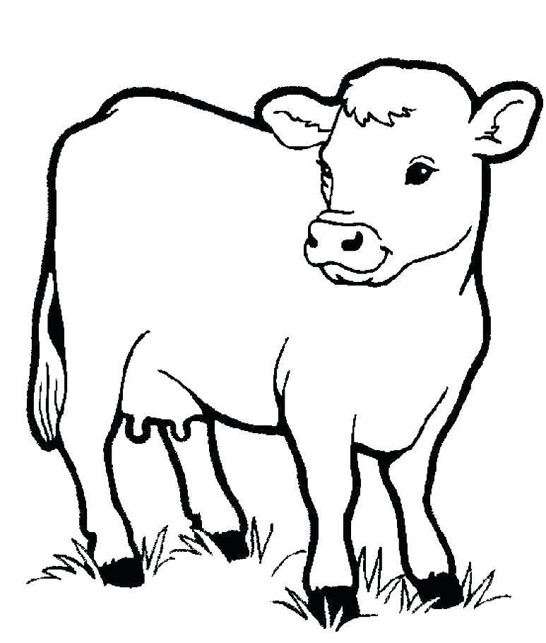 Free Printable Cow Coloring Pages For Kids Realistic Cow Coloring 773x910 Free Printable Cow Coloring Pages For Kids Realistic Cow Coloring