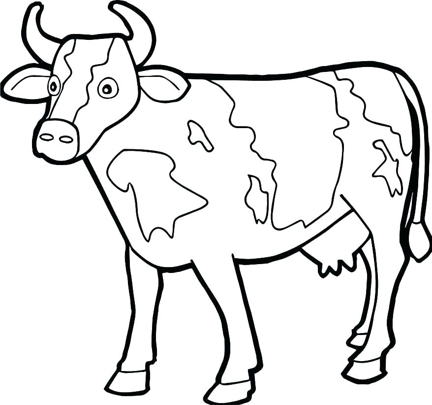 Coloring Cows Coloring Pages Realistic Cow Dairy. Cows Coloring Pages 878x822 Coloring Cows Coloring Pages Realistic Cow Dairy. Cows Coloring Pages