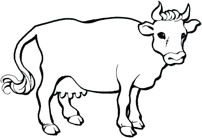 Coloring Page Cow Realistic Cow Coloring Pages Coloring Page 700x478 Coloring Page Cow Realistic Cow Coloring Pages Coloring Page