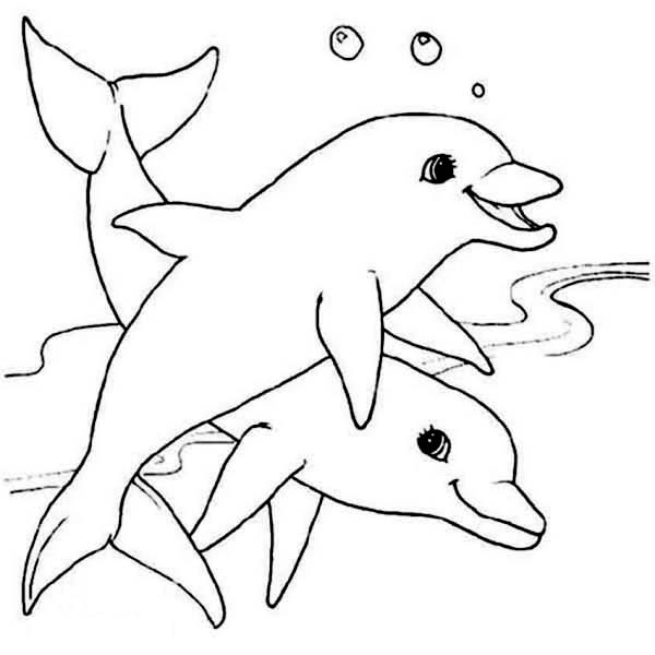 600x600 Two Cute Dolphin Sea Animals Coloring Page Two Cute Dolphin Sea