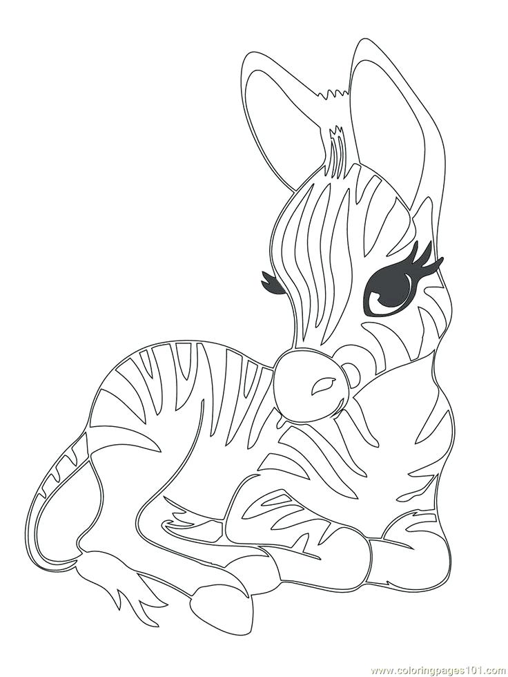 736x980 Realistic Baby Farm Animal Coloring Pages