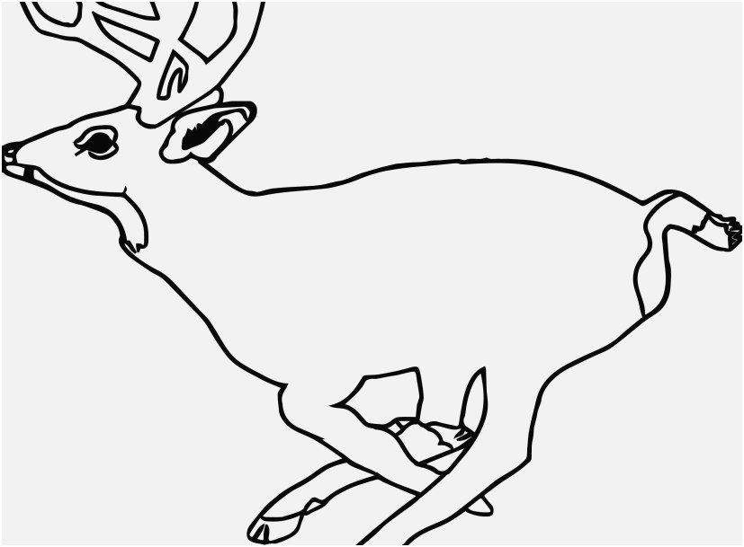 Top Rated Picture Realistic Reindeer Coloring Pages Lovely 827x609 Top Rated Picture Realistic Reindeer Coloring Pages Lovely