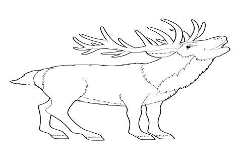 Baby Deer Coloring Pages 476x333 Baby Deer Coloring Pages