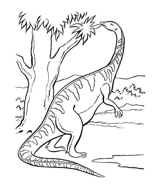 670x820 Dinosaur Bones Coloring Pages Misc Dinosaurs Dinosaur Train