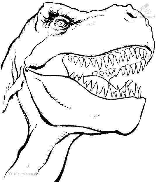 545x624 Dinosaurs Coloring Pages