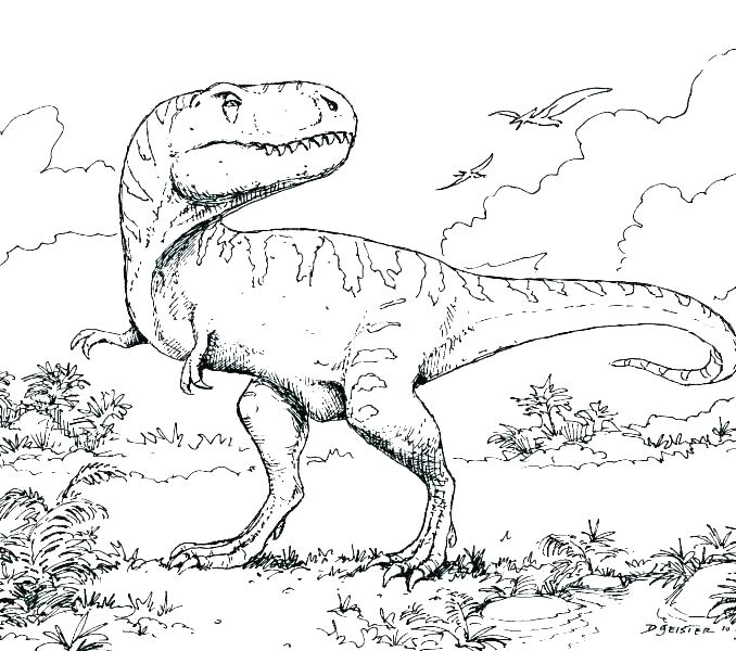 678x600 Dinosour Coloring Pages Realistic Dinosaurs Life In Their Prime