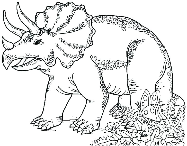 769x600 Realistic Dinosaur Coloring Pages X Realistic Dinosaur Bones