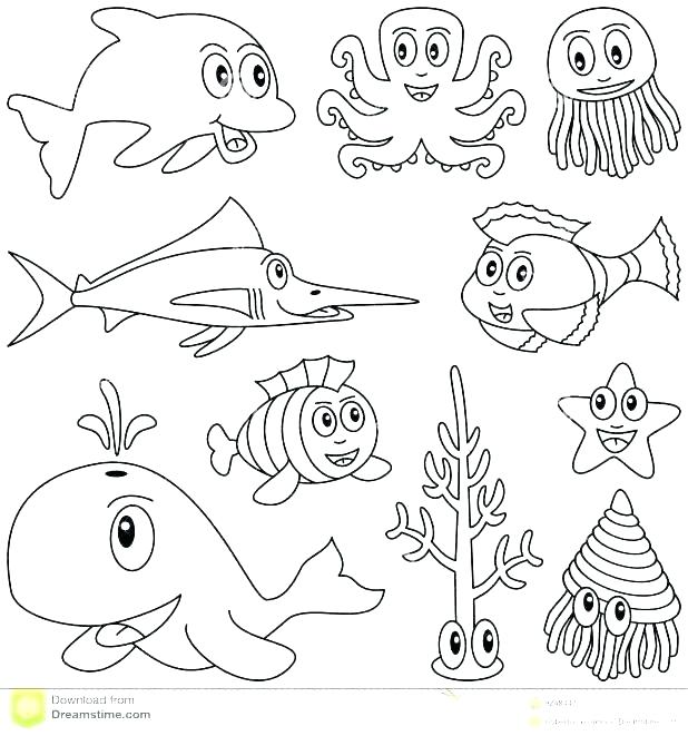 618x661 Underwater Coloring Pages Undersea Animals Coloring Pages