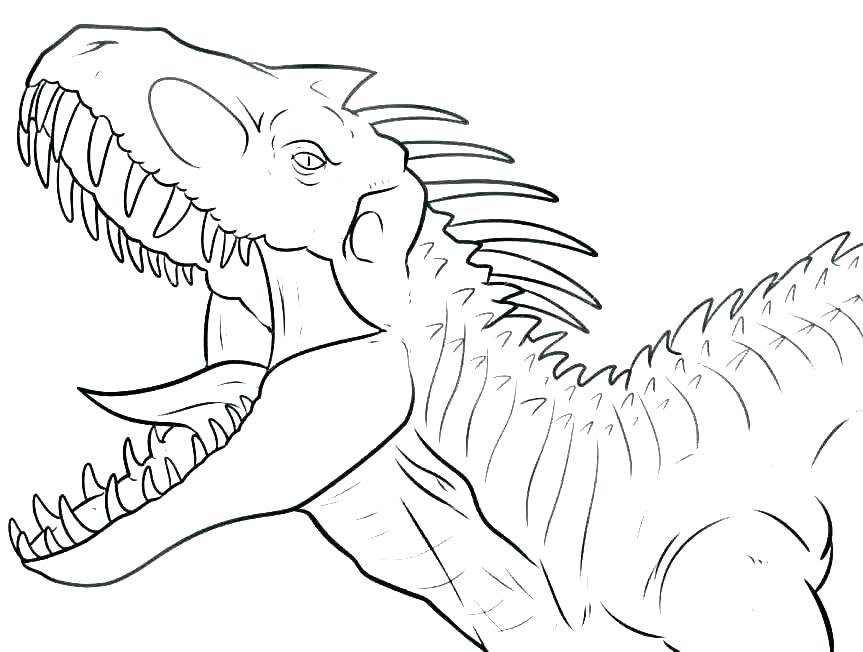 863x652 Dinosaur Bones Coloring Pages