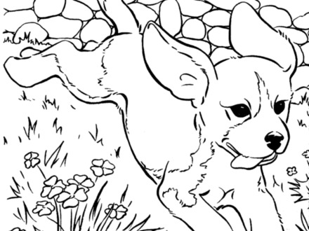 440x330 39 Free Dog Coloring Pages, Coloring Pages Printable Pictures