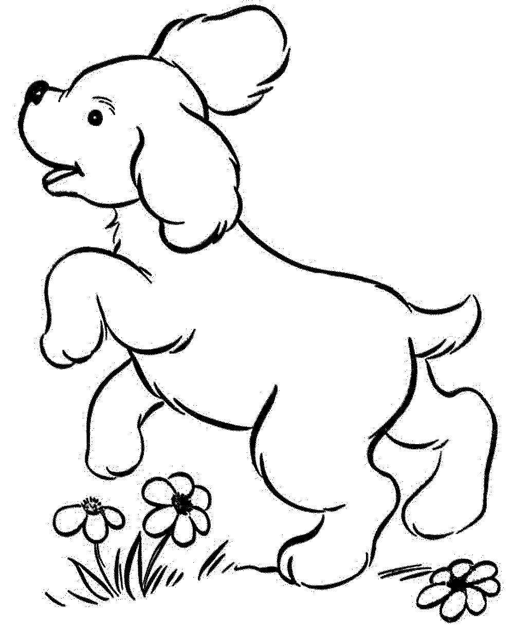 1000x1223 Realistic Dog Coloring Pages