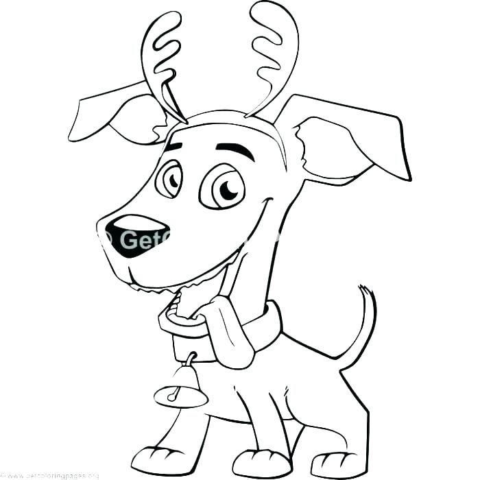 700x700 Cat Dog Coloring Pages Home Design Plan Dog And Cat Coloring Pages