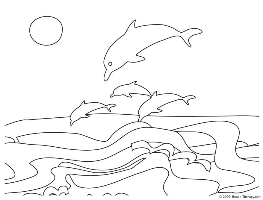 878x668 Dolphin Coloring Page Coloring Dolphin Jumping Coloring Page