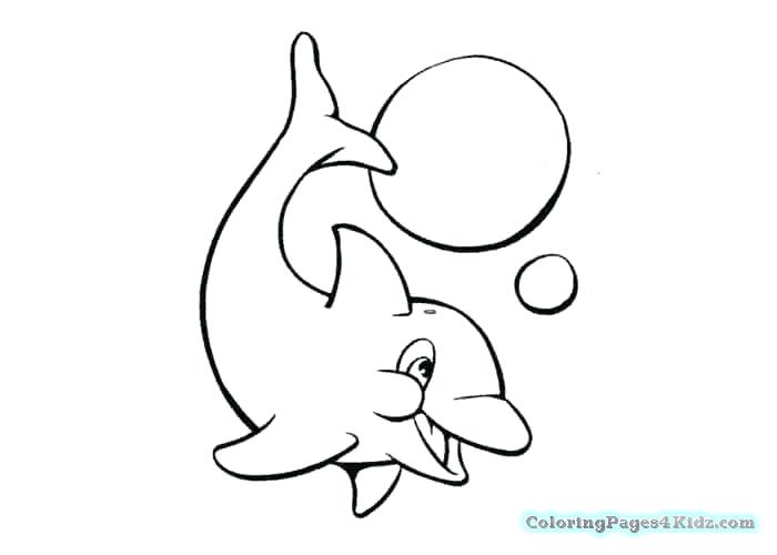 700x500 Baby Dolphin Coloring Pages Realistic Baby Dolphin Coloring Pages