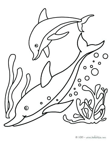 Realistic Dolphin Coloring Pages at GetColorings.com | Free printable ...