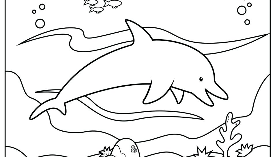 960x544 Cute Dolphin Coloring Pages Cute Dolphin Coloring Pages Cute