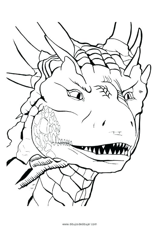 Realistic Dragon Coloring Pages at GetColorings.com | Free printable ...