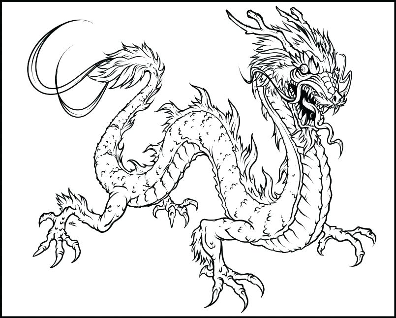 805x646 Dragon Coloring Pages Realistic Shop Related Products Free Dragon