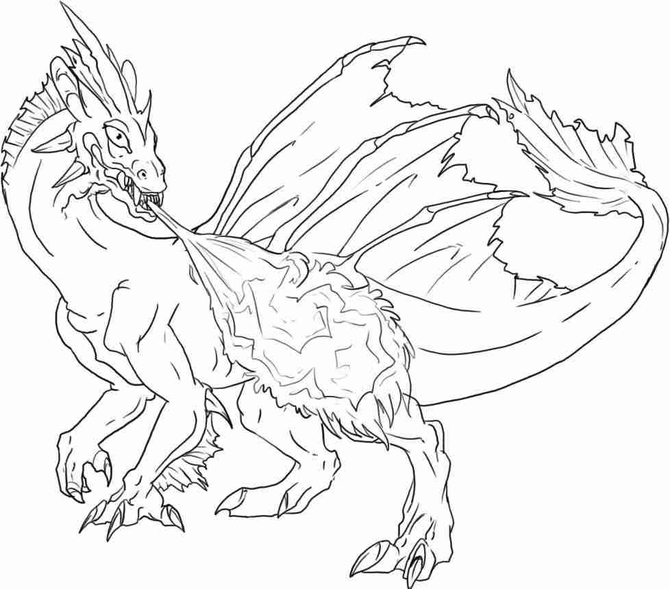 978x860 Realistic Dragon Coloring Pages Head Mesmerizing Olegratiy