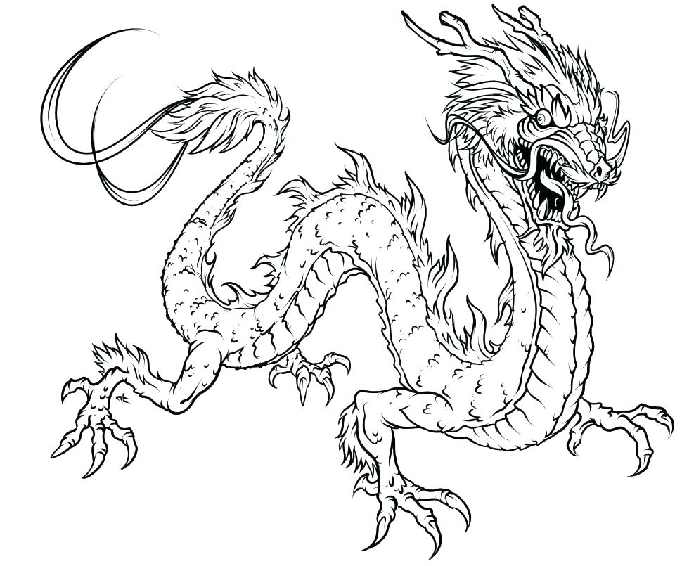 970x805 Realistic Dragon Coloring Pages