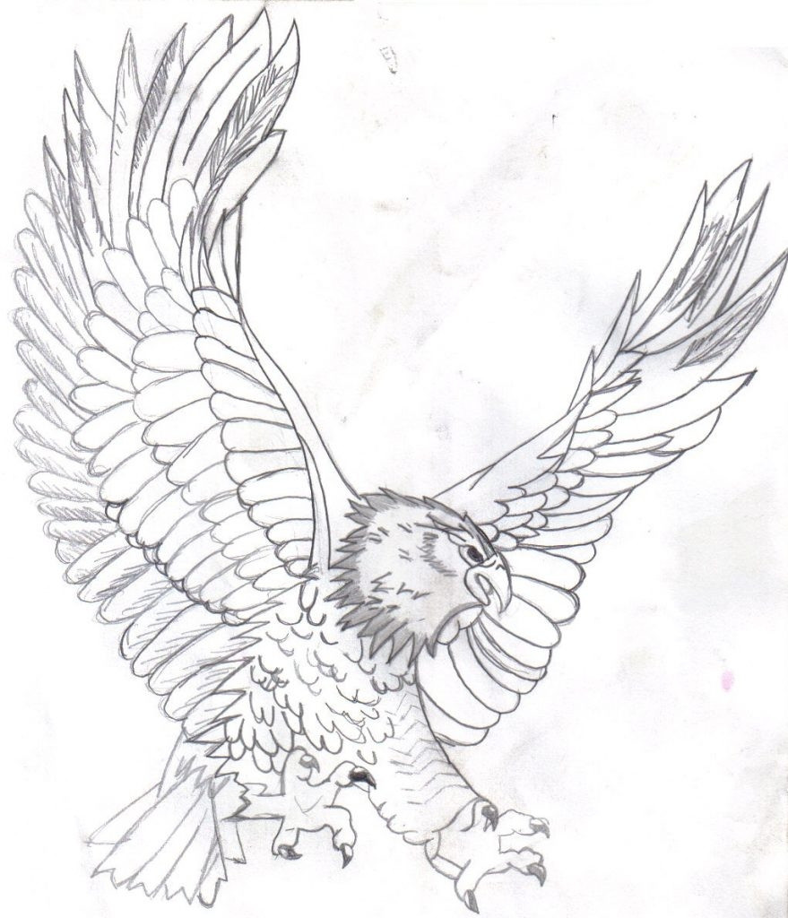 27 Bald Eagle Coloring Page Compilation Free Coloring Pages Bright 879x1024 27 Bald Eagle Coloring Page Compilation Free Coloring Pages Bright