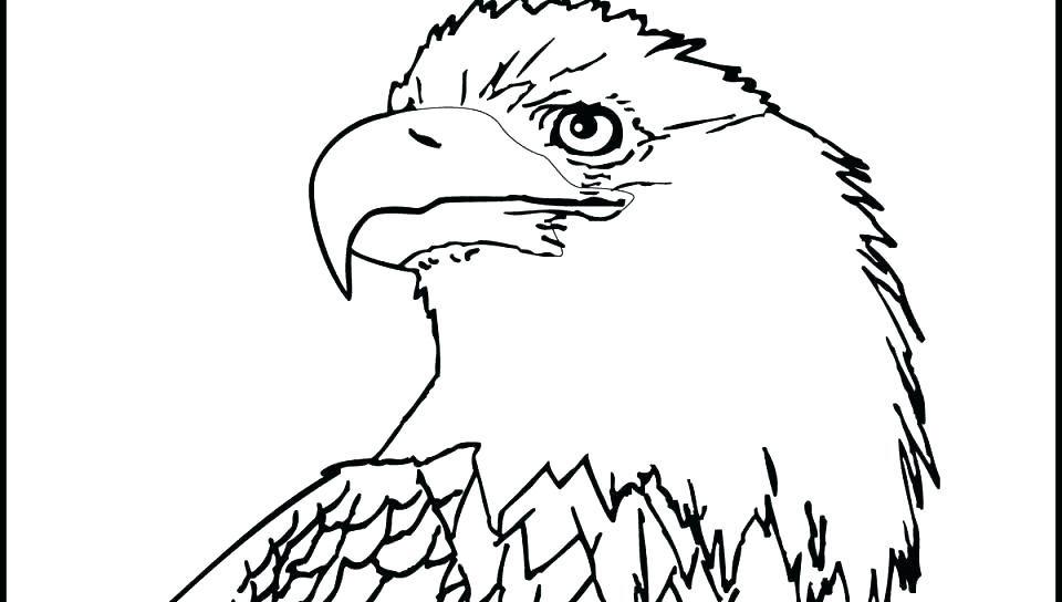 Bald Eagle Coloring Page 960x544 Bald Eagle Coloring Page
