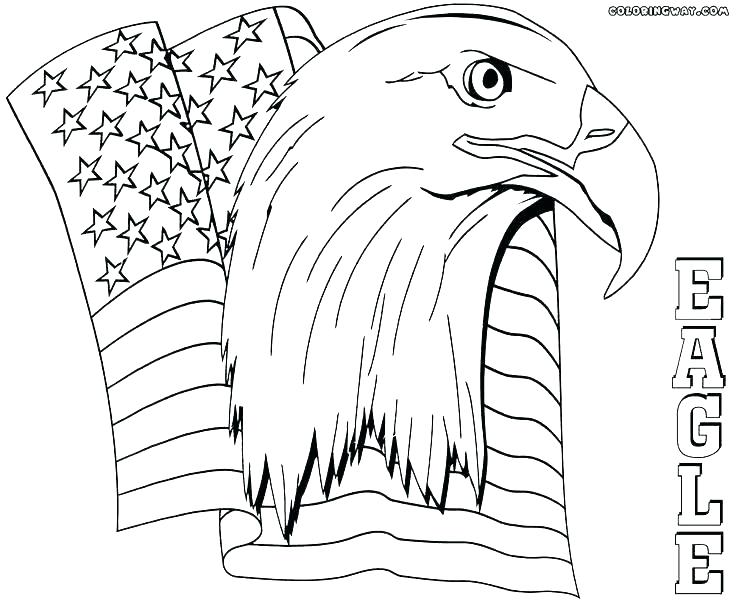 Bald Eagle Coloring Page 736x604 Bald Eagle Coloring Page
