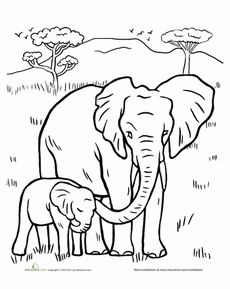 230x289 Realistic African Elephant Coloring Page Online Printable Animal