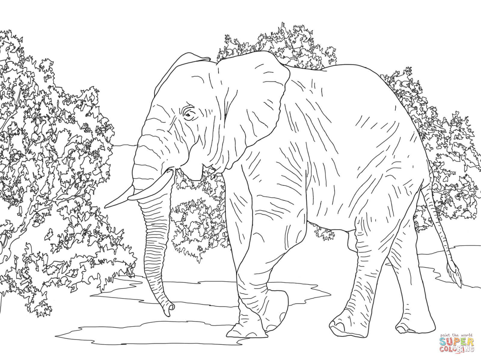 1600x1200 Beautiful Free Coloring Pages For Adults Printable Hard To Color