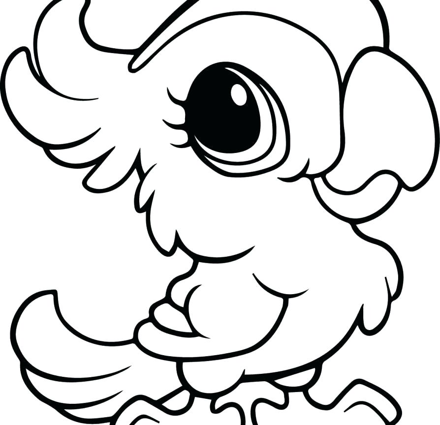 894x864 Real Animal Coloring Pages Animal Coloring Pages Free Animals