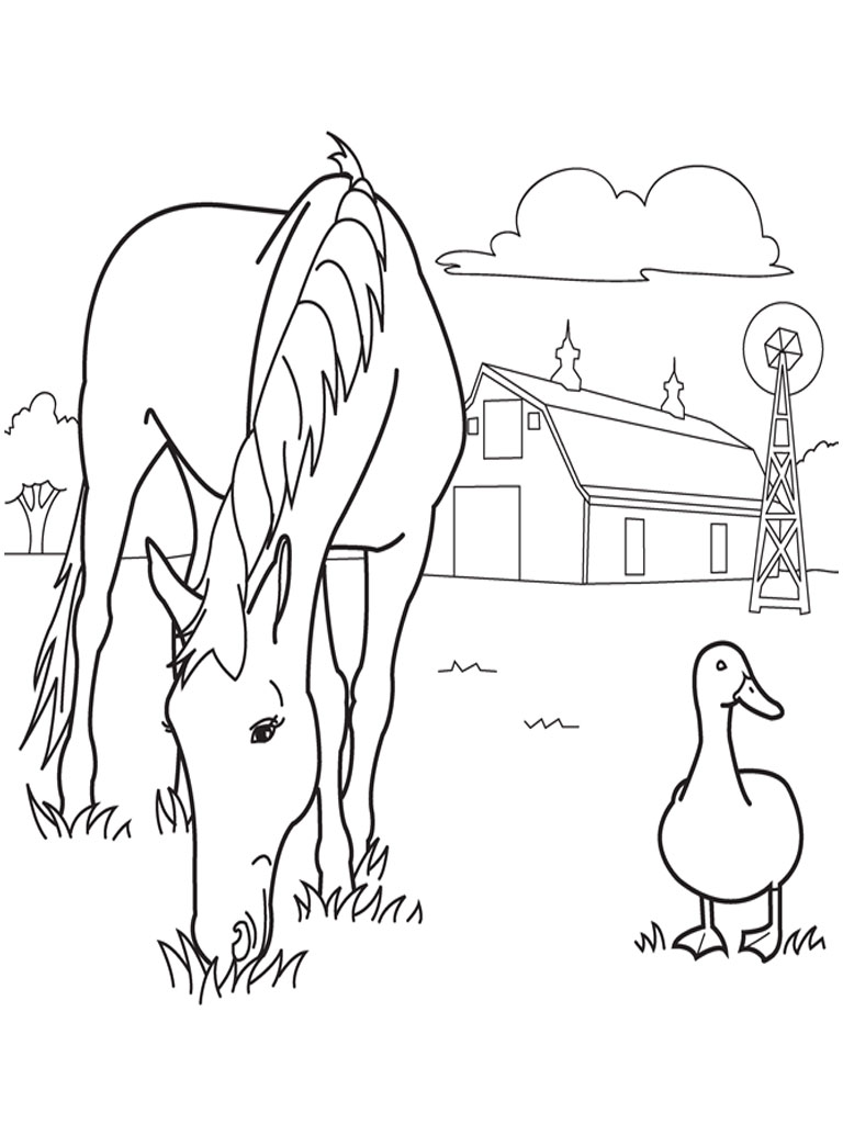 768x1024 Realistic Farm Animal Coloring Pages