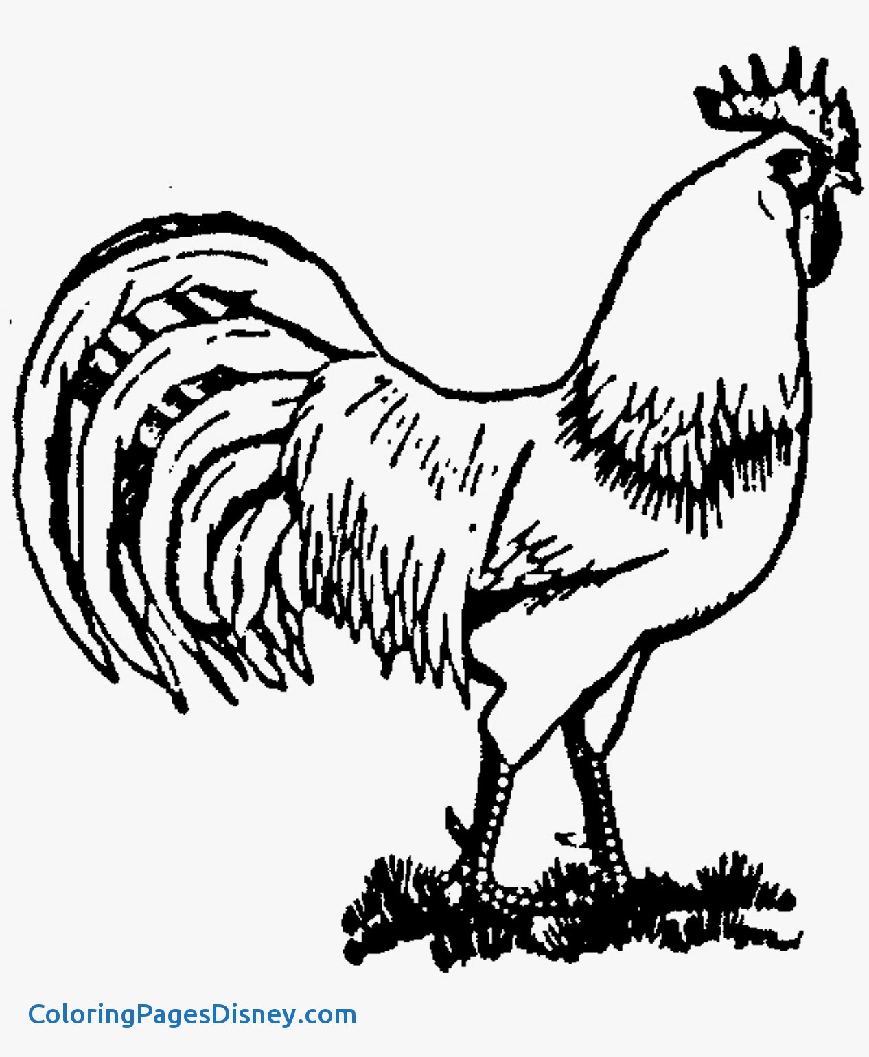 1266x1540 Roosters Coloring Pages Best Of Realistic Farm Animal Coloring