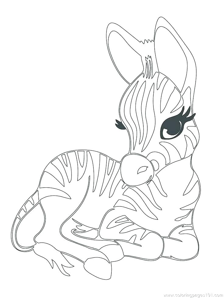 736x980 Coloring Pages Of Animals And Their Babies