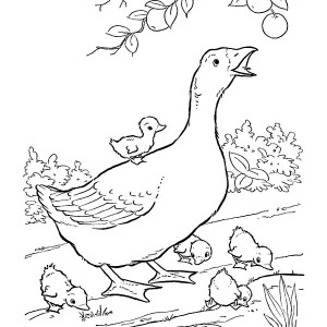 300x300 Coloring Pictures Of Farm Animals And Their Babies Stunning Design