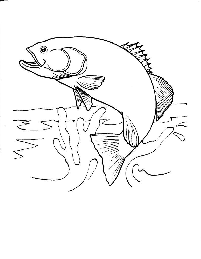 Free Printable Fish Coloring Pages For Kids Animales 795x1024 Free Printable Fish Coloring Pages For Kids Animales