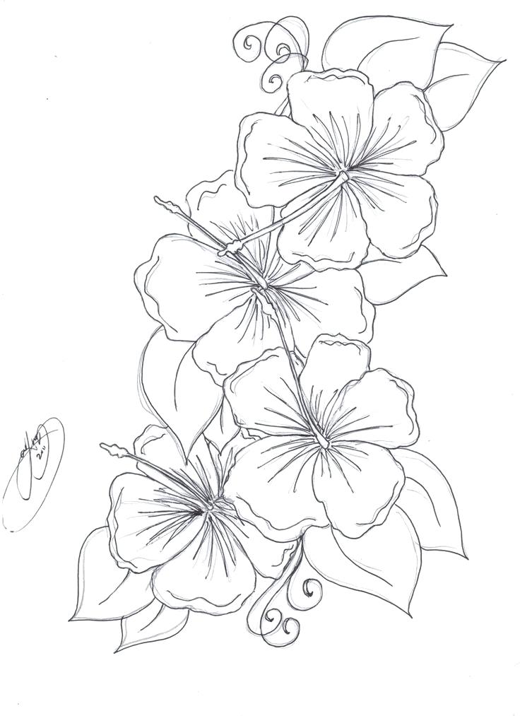 Realistic Flower Colo Beautiful Realistic Flower Coloring Pages 736x1013 Realistic Flower Colo Beautiful Realistic Flower Coloring Pages