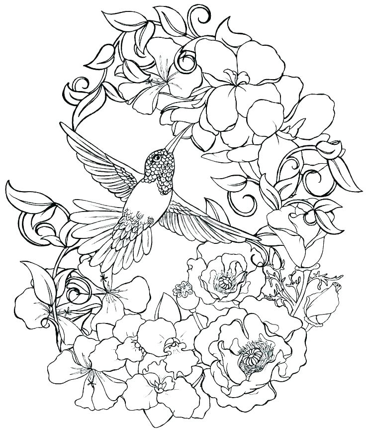 Realistic Flower Coloring Pages Detailed Flower Coloring Pages 736x866 Realistic Flower Coloring Pages Detailed Flower Coloring Pages