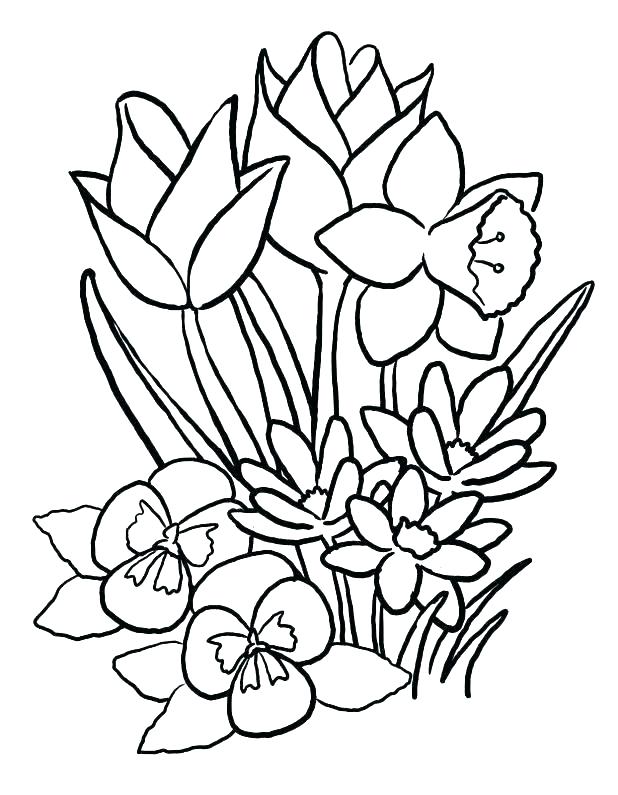 Coloring Pages Flowers Realistic Flower Coloring Pages 618x795 Coloring Pages Flowers Realistic Flower Coloring Pages