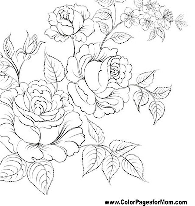 Flor Para Colorear 61 Colorear Flower 640x676 Flor Para Colorear 61 Colorear Flower