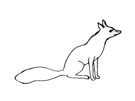 Fox Coloring Pages 570x425 Fox Coloring Pages
