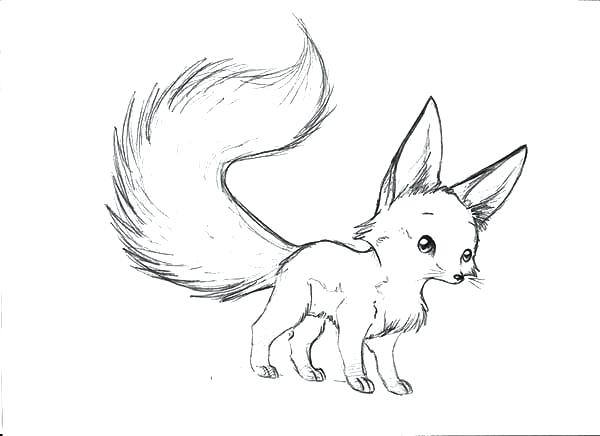 Baby Fox Coloring Pages Cute Baby Fox Coloring Pages Plus 600x436 Baby Fox Coloring Pages Cute Baby Fox Coloring Pages Plus