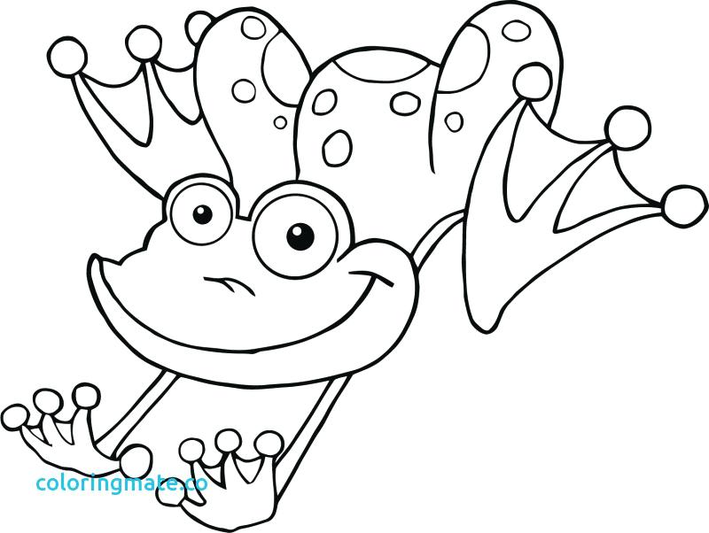 Frog Color Pages Cartoon Coloring Medium Size Realistic Frog 800x602 Frog Color Pages Cartoon Coloring Medium Size Realistic Frog