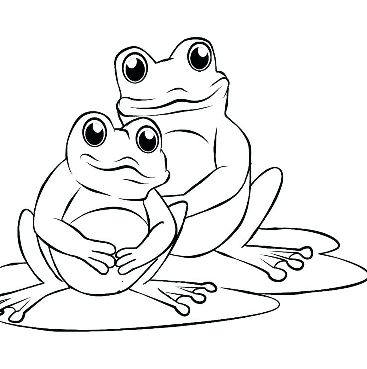 Picture Of A Frog To Color Coloring Pages Of Frogs Cartoon 736x740 Picture Of A Frog To Color Coloring Pages Of Frogs Cartoon